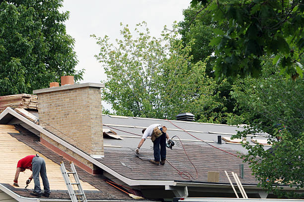 Best Roof Moss and Algae Removal  in Cheney, WA